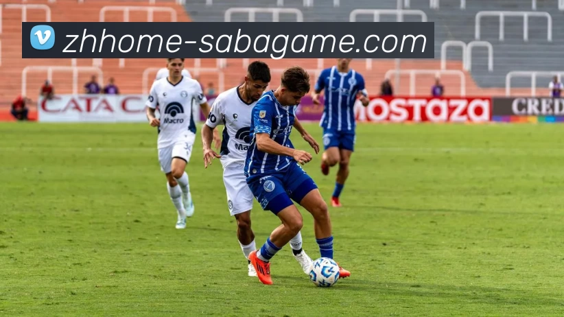 沙巴官网平台生态图